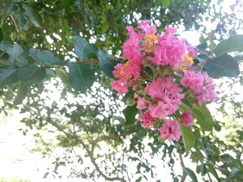 绿水青山，，，，，联翩而至，，，，，腾博官网诚信为本,专业服务2018云浮之旅