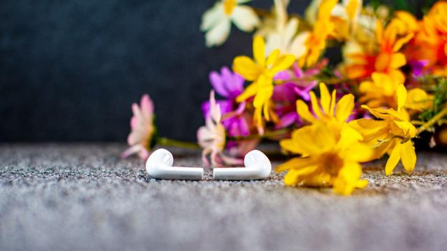 腾博官网诚信为本,专业服务小海豚耳机体验：小身段大音质，，，，，，，AirPods百元平替